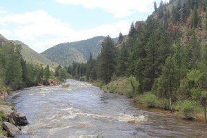 View of the Poudre just upstream of Narrows Campground.
