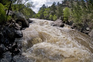High-water view of Pine View Falls on the Cache La Poudre River near Fort Collins, CO