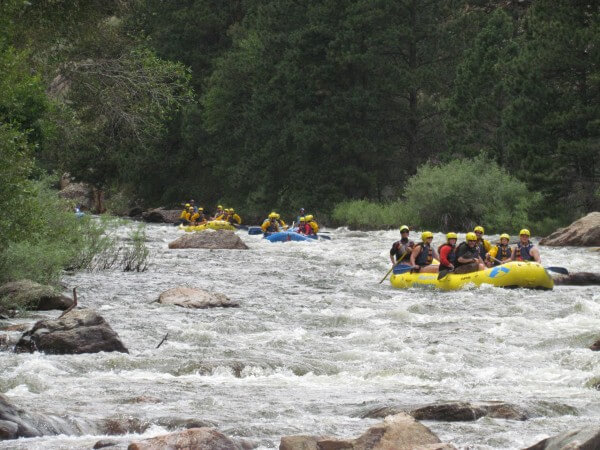 Team Building through Whitewater Rafting on the Cache La Poudre River