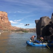Rafting the Colorado River: Backflip at Blackrock