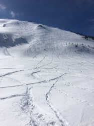 Ski tracks on the South Diamond Peak