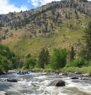 Poudre River Rafting Trip with Mountain Whitewater