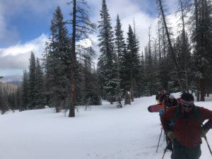 Things to do in Fort Collins, CO: Snowshoeing at Montgomery Pass